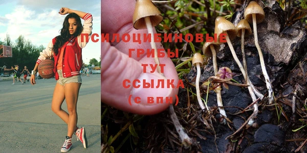 a pvp Медногорск