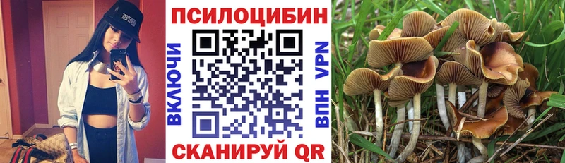 Купить закладки  Новая Усмань  Псилоцибиновые грибы ЛСД 